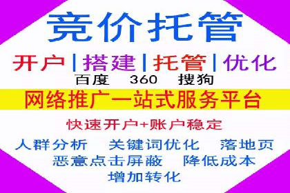 某某企业SEM推广成功案例：打造品牌营销新模式